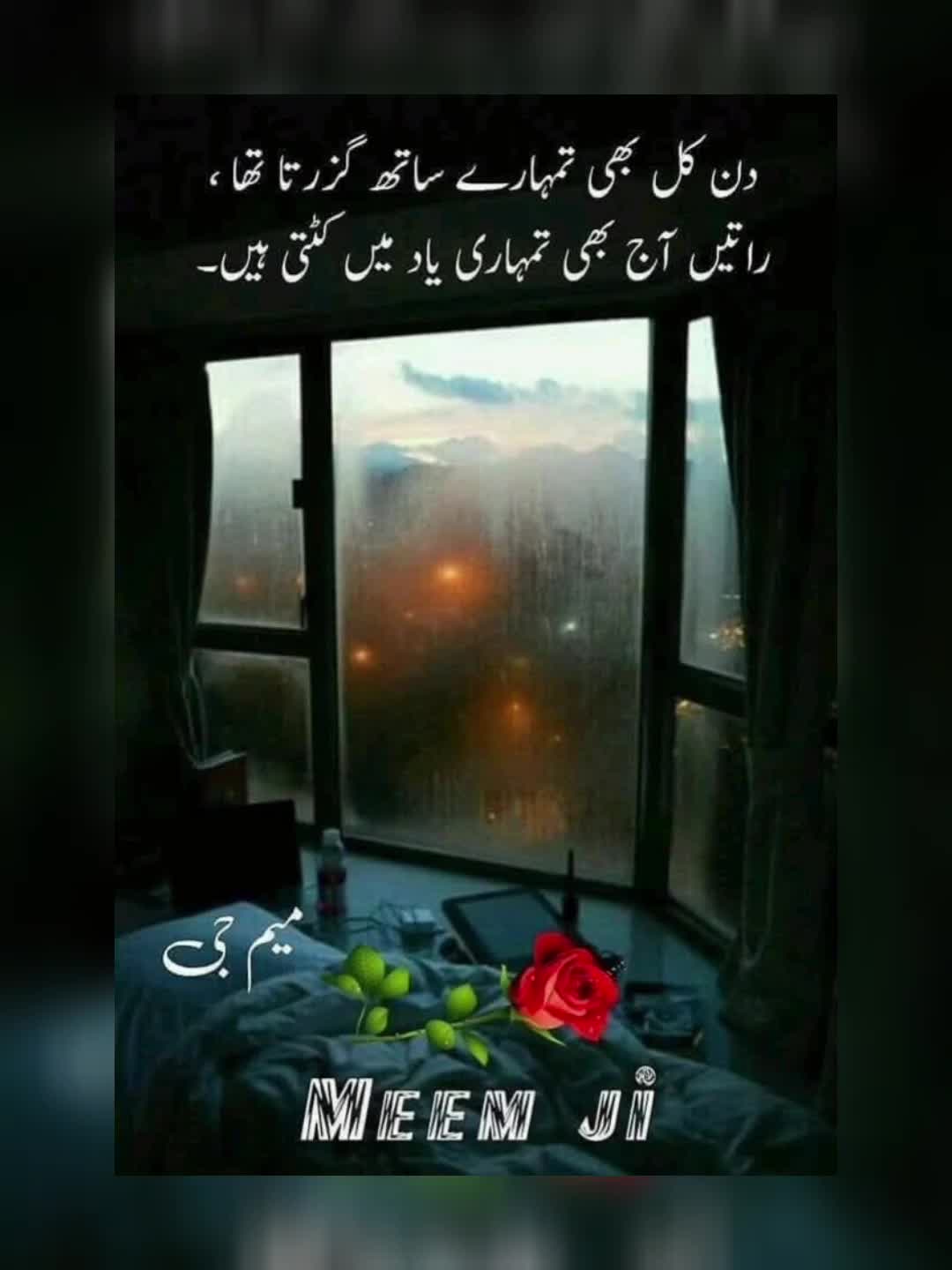 @🌹MeEm jEe SHeIkH میم جی 🌹Uk