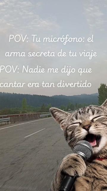 @Victoria Sousa Porras