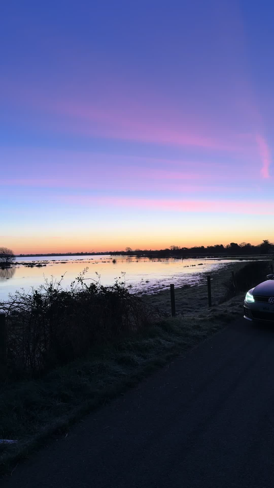 @jayceepotts650