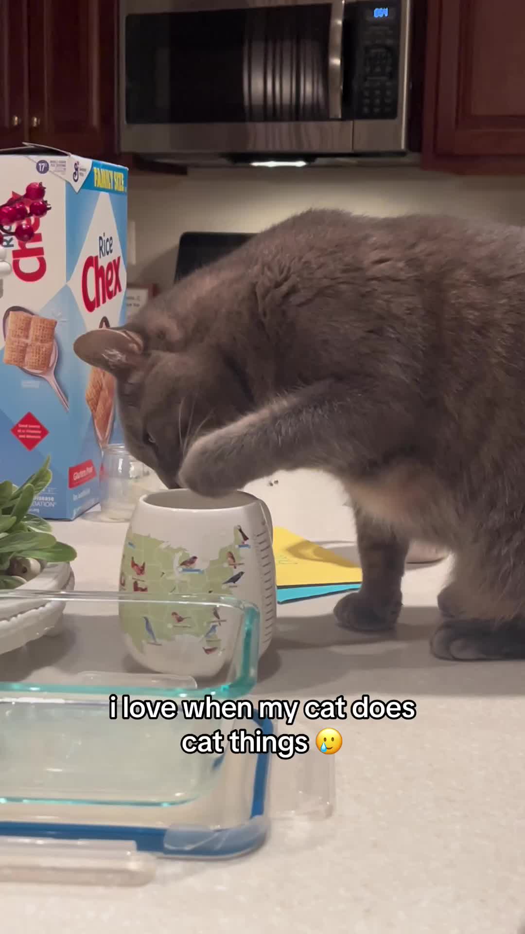 @Rachel