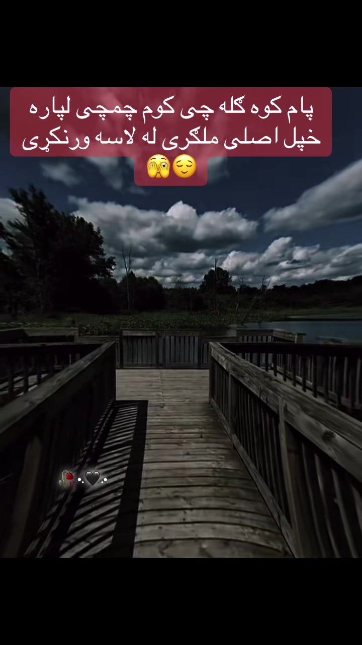 @🇦🇫 زڪـͫــͣــͥـریا🤍 🦅