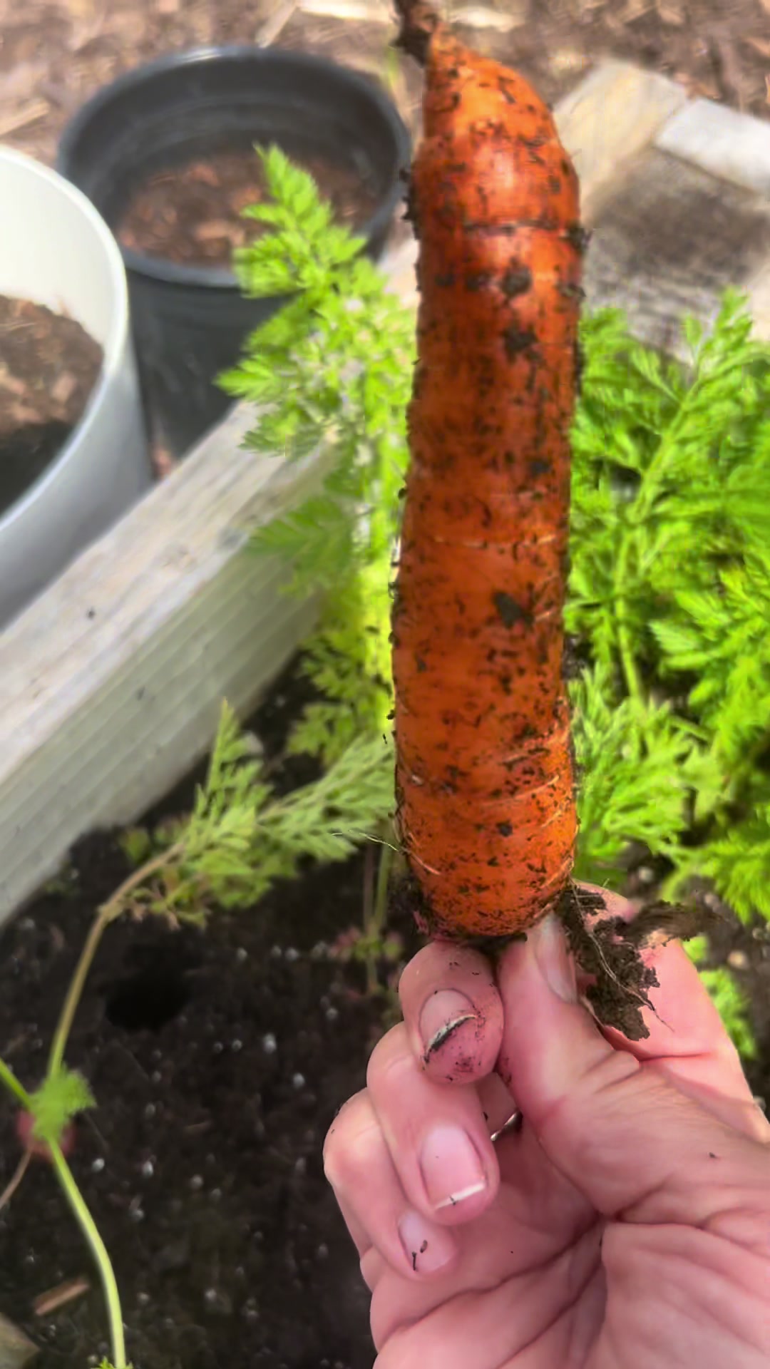 @gardeninginoside