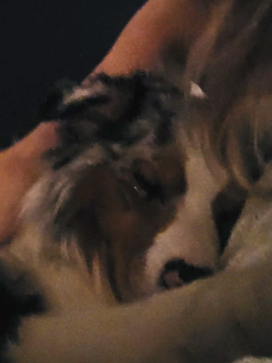 @mr.montytheaussie