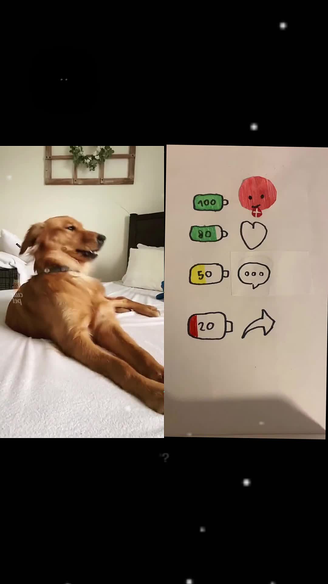 @MAX354655