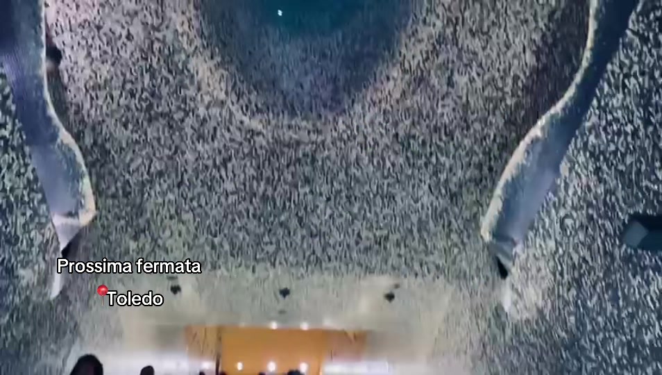 @Ali