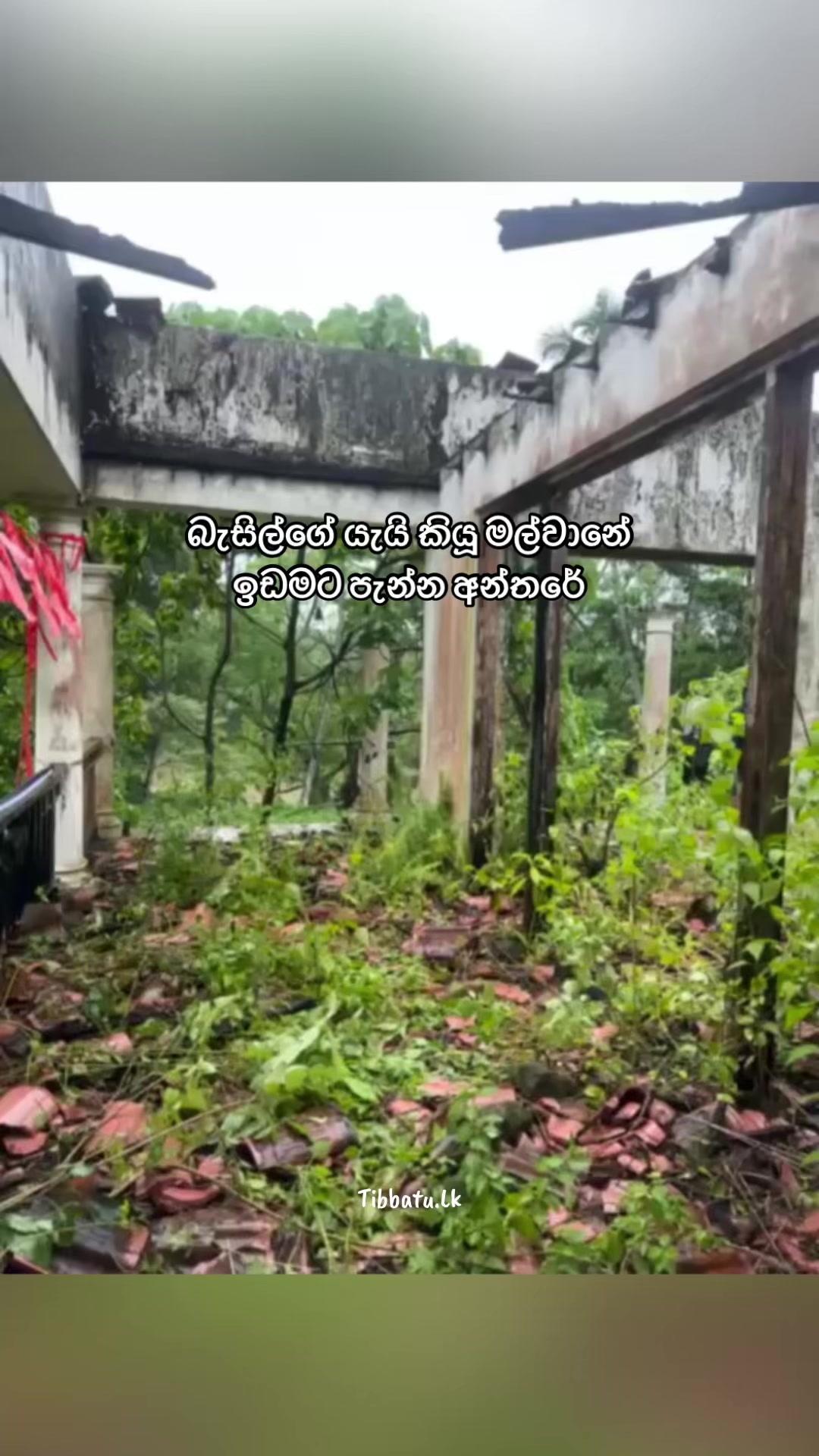 @Thibbatu.Lk