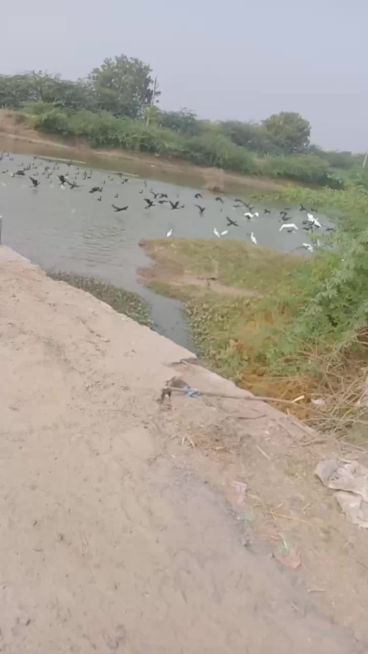 @💖સલી નો સોખીલો💖