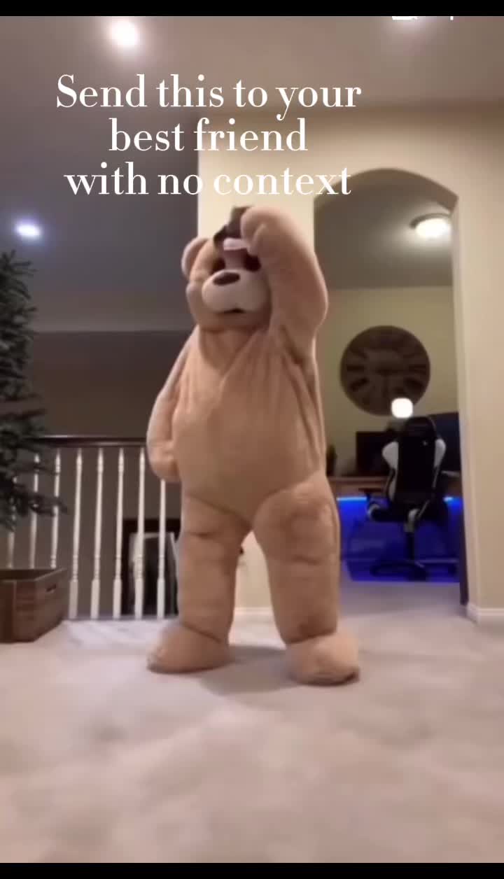@Stuffy Cat901