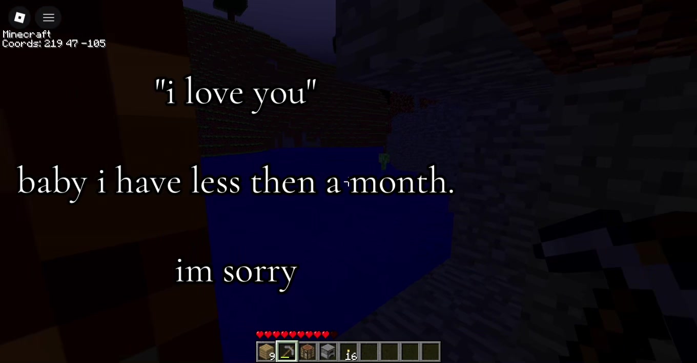 @meow