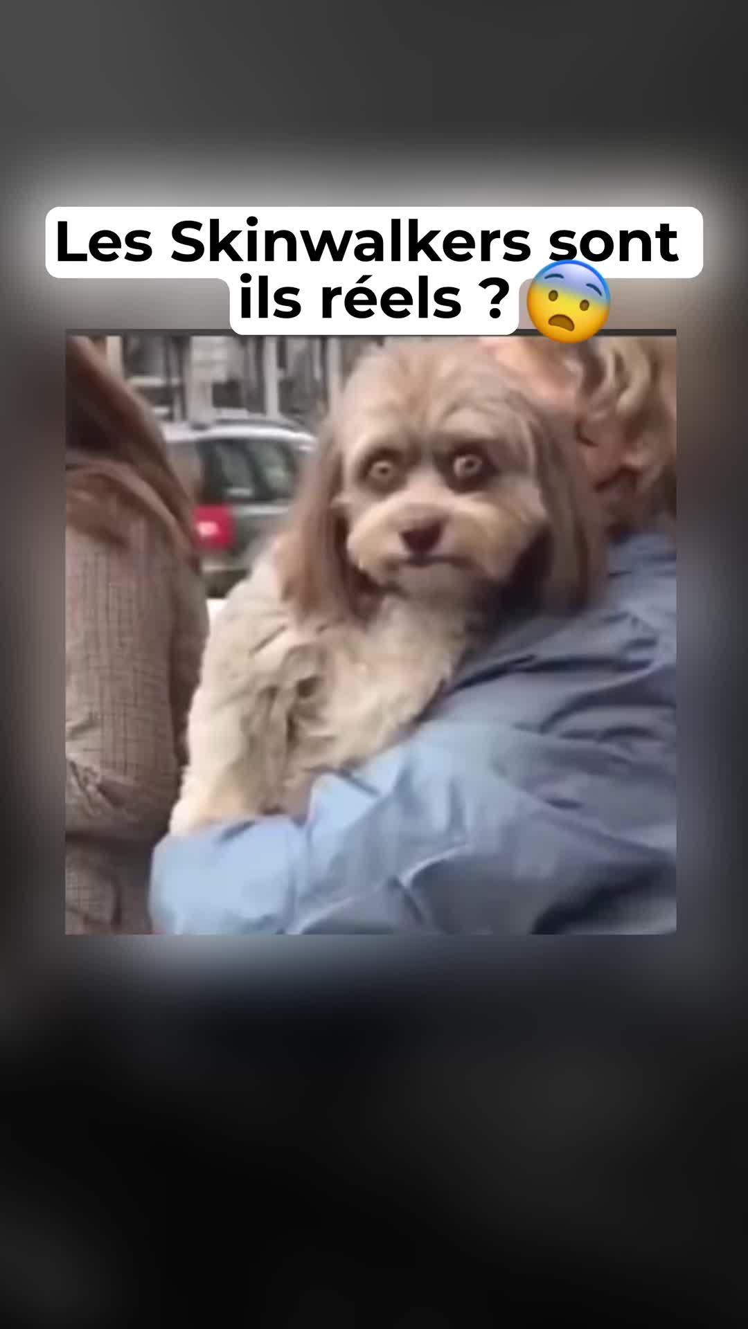 @Creemsy