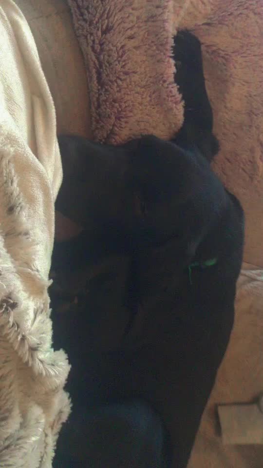 @willow & Buddy xx