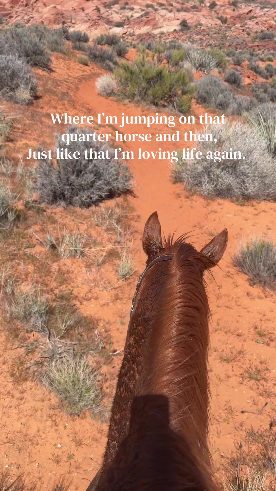 @UTAH WAXER Horses Life