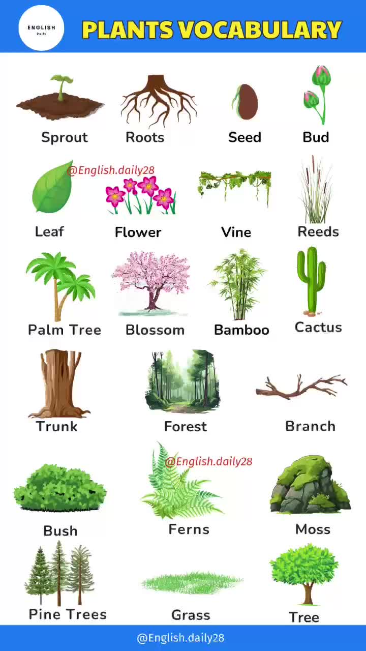 @Daily english learning