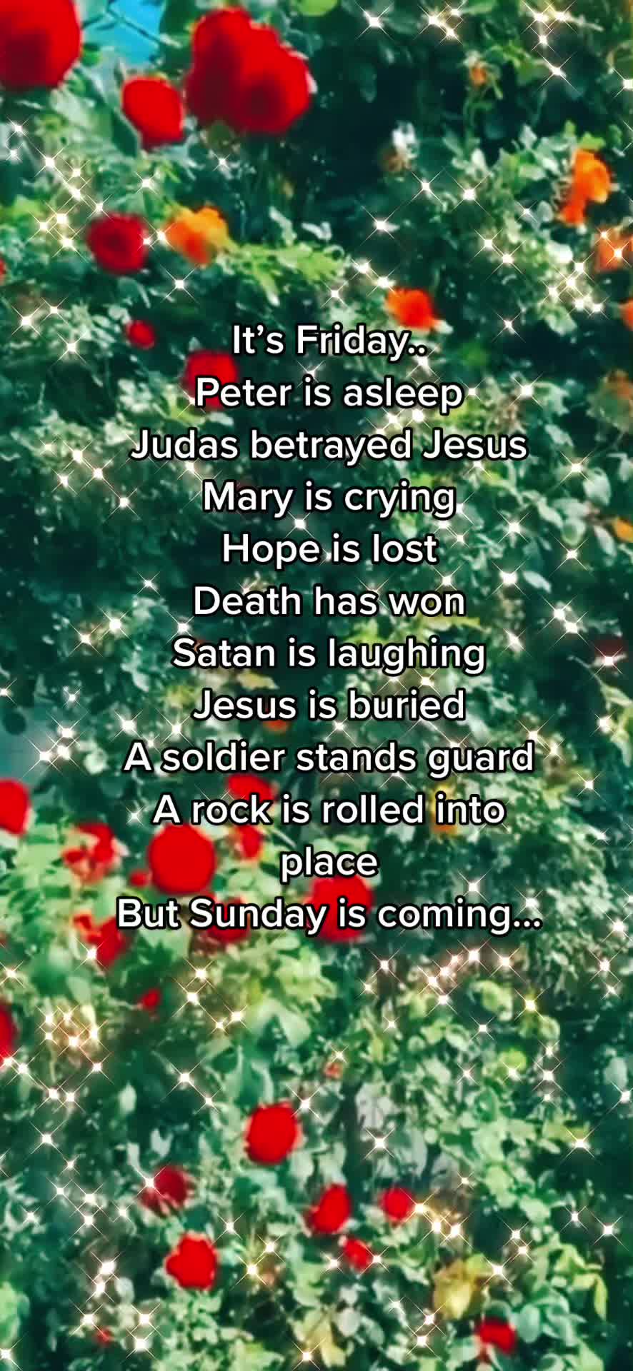@God is Amazing🤍