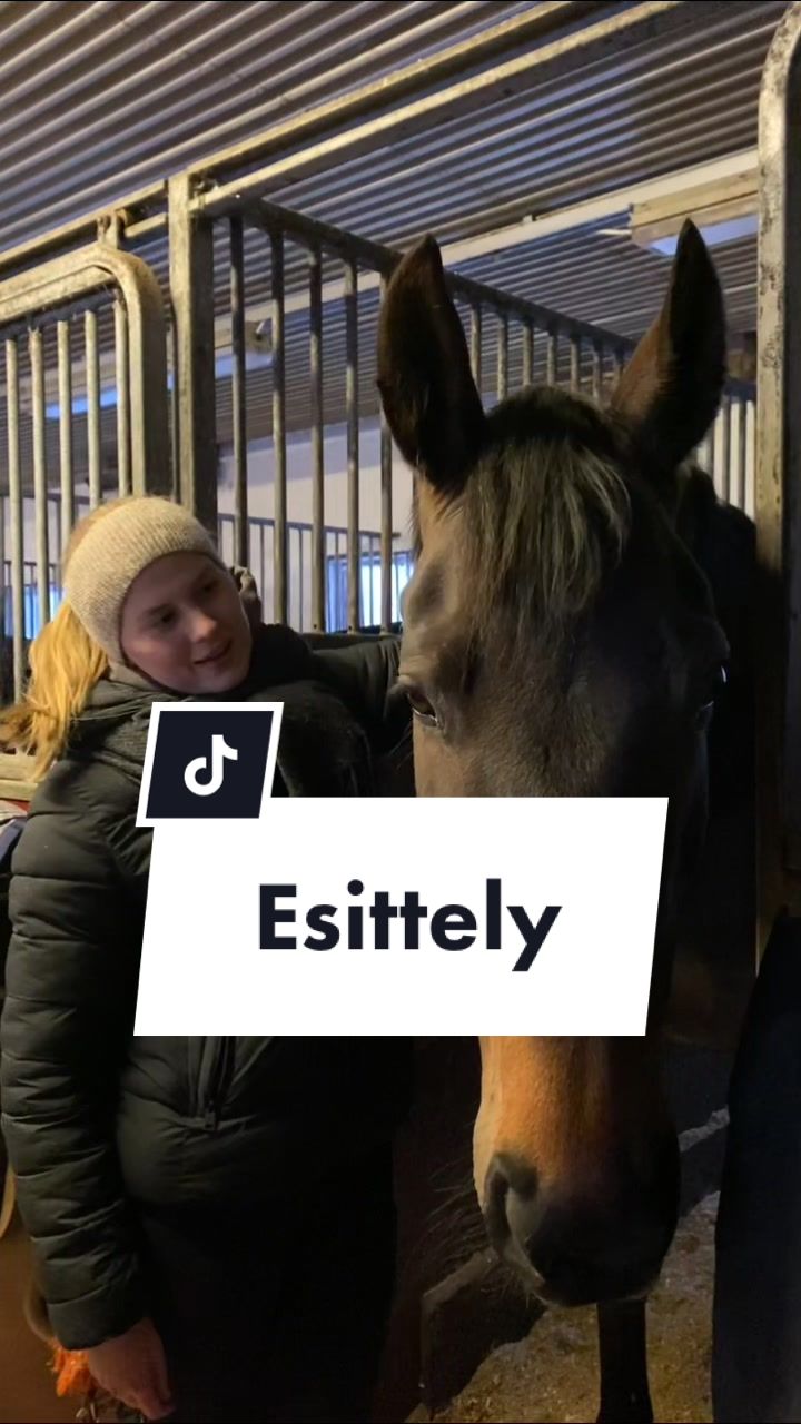 @kumpum&auml;en ratsastajat