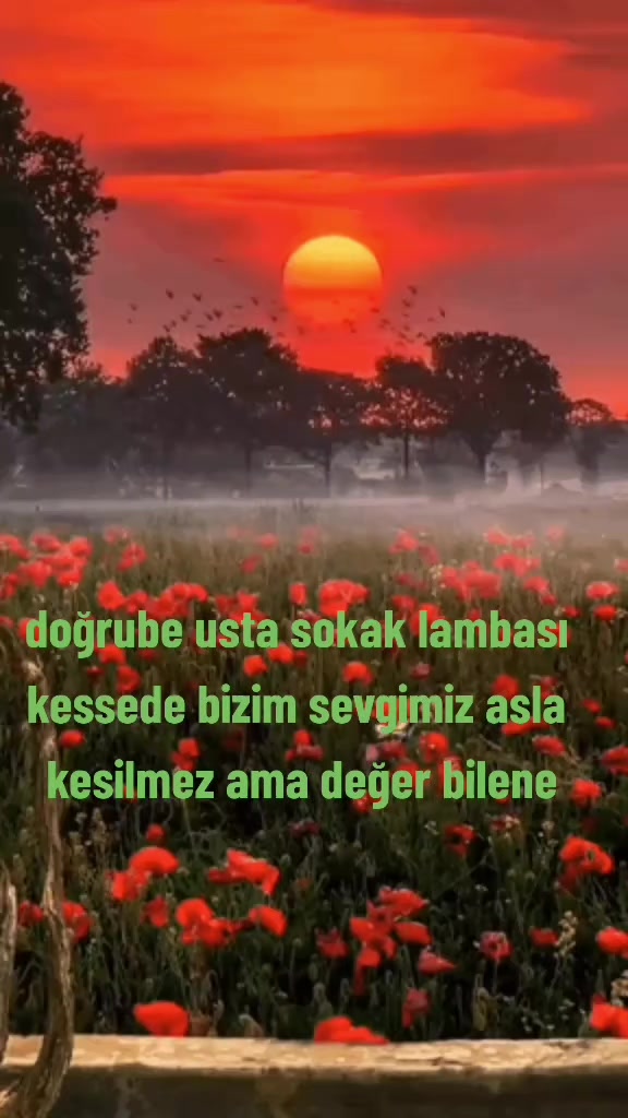 @atakan &ccedil;etin