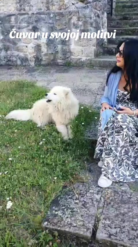 @Sanja Drazic