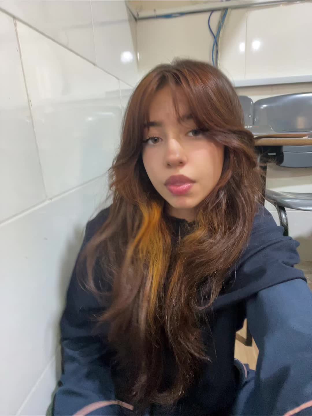 @aylar