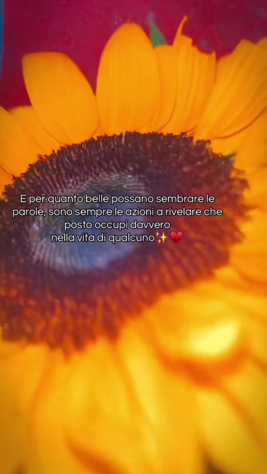 @_⚕️T💋A💋R💋A💋N💋T💋È⚕️