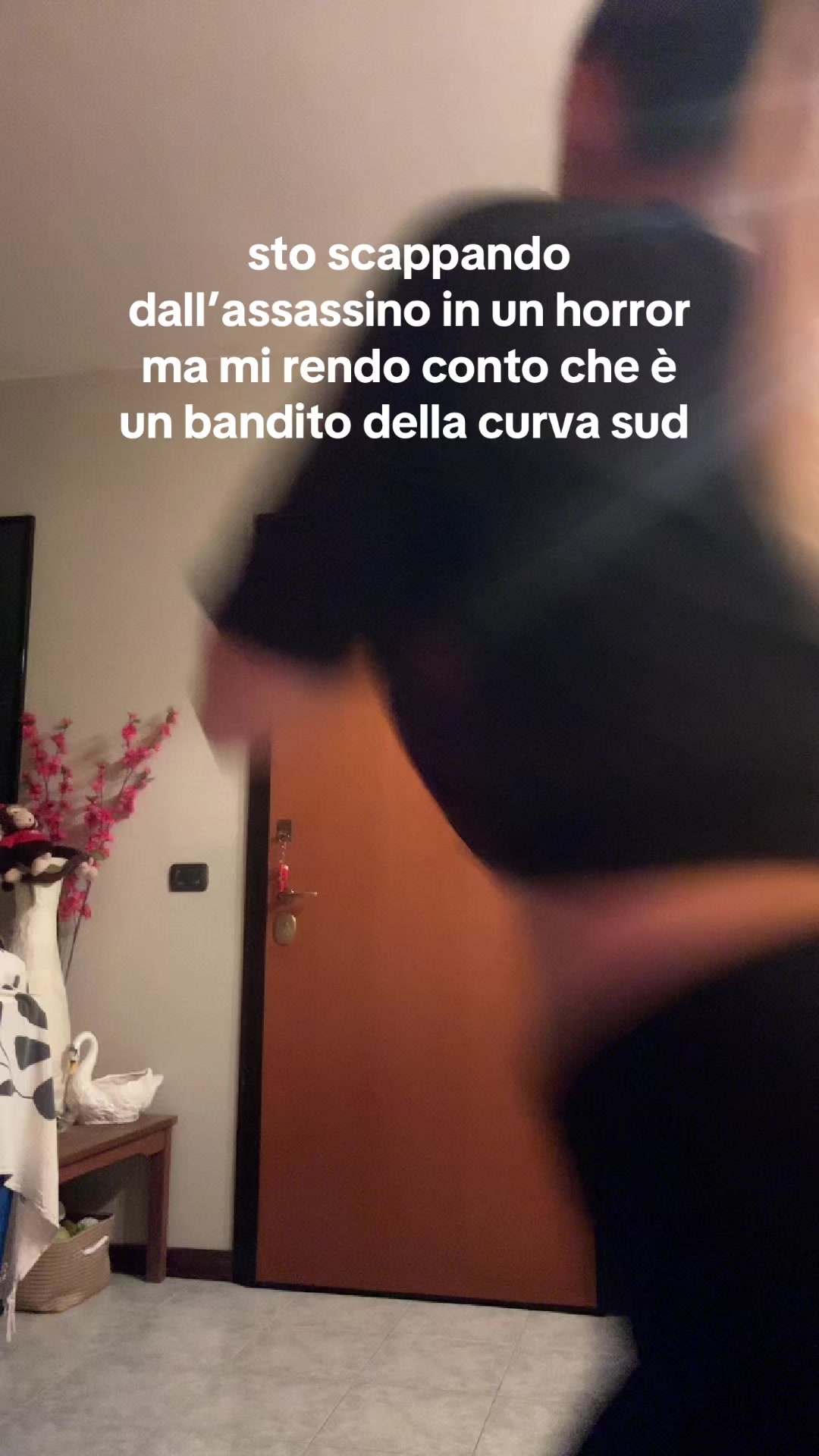 @silviapicardi
