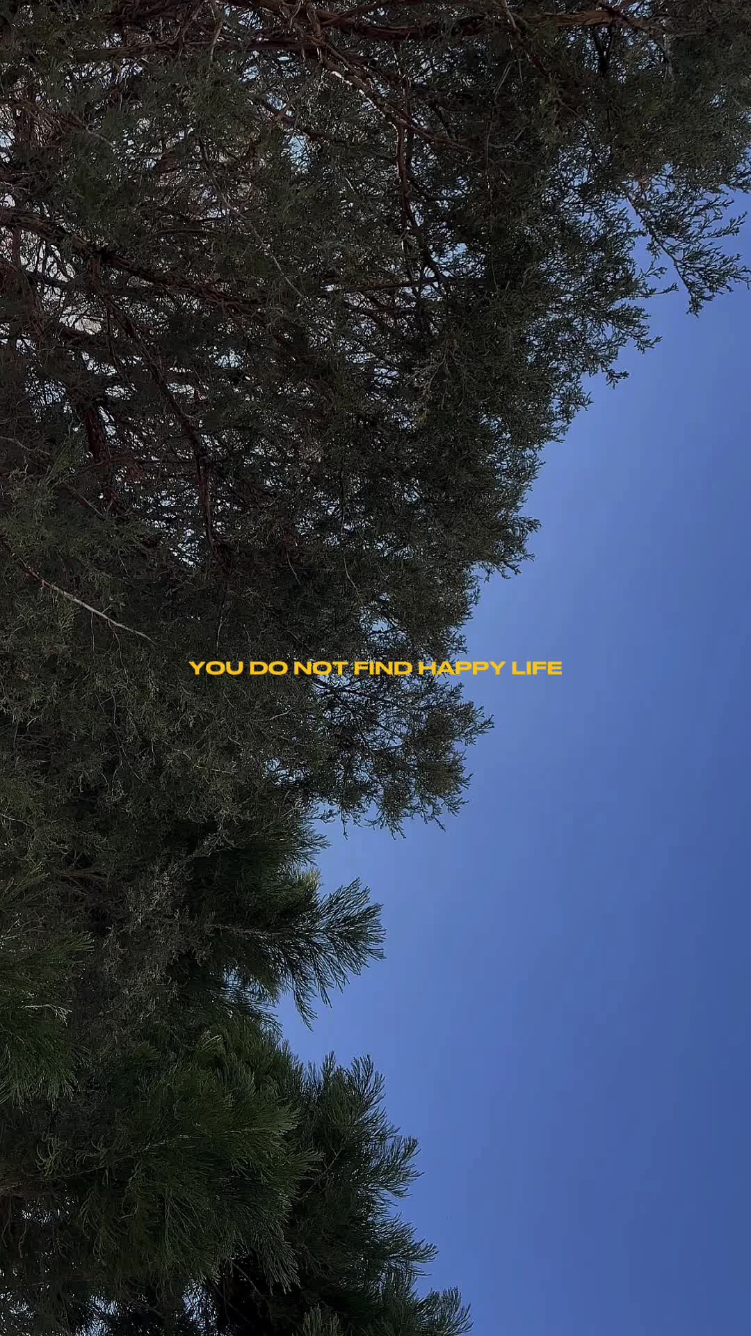 @Zander Ace Ryder
