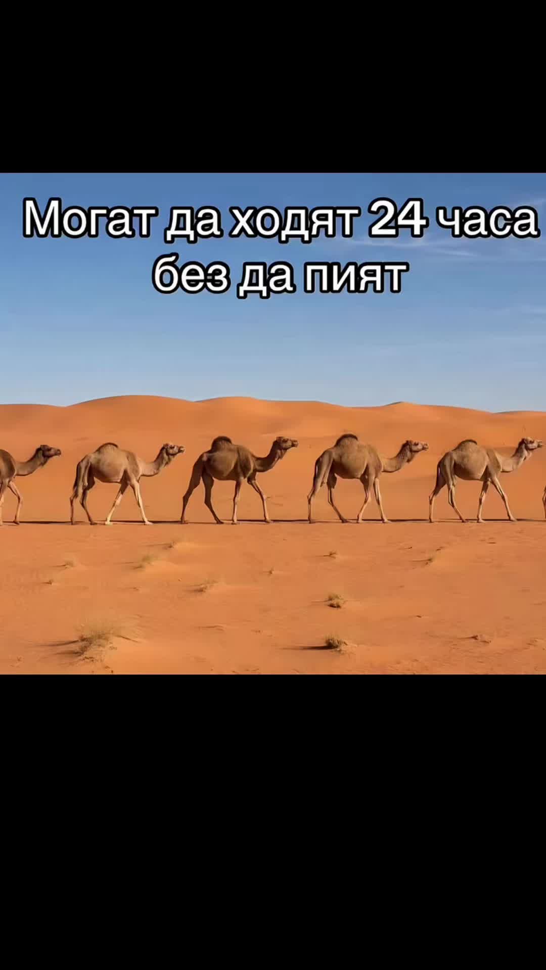 @Събито13