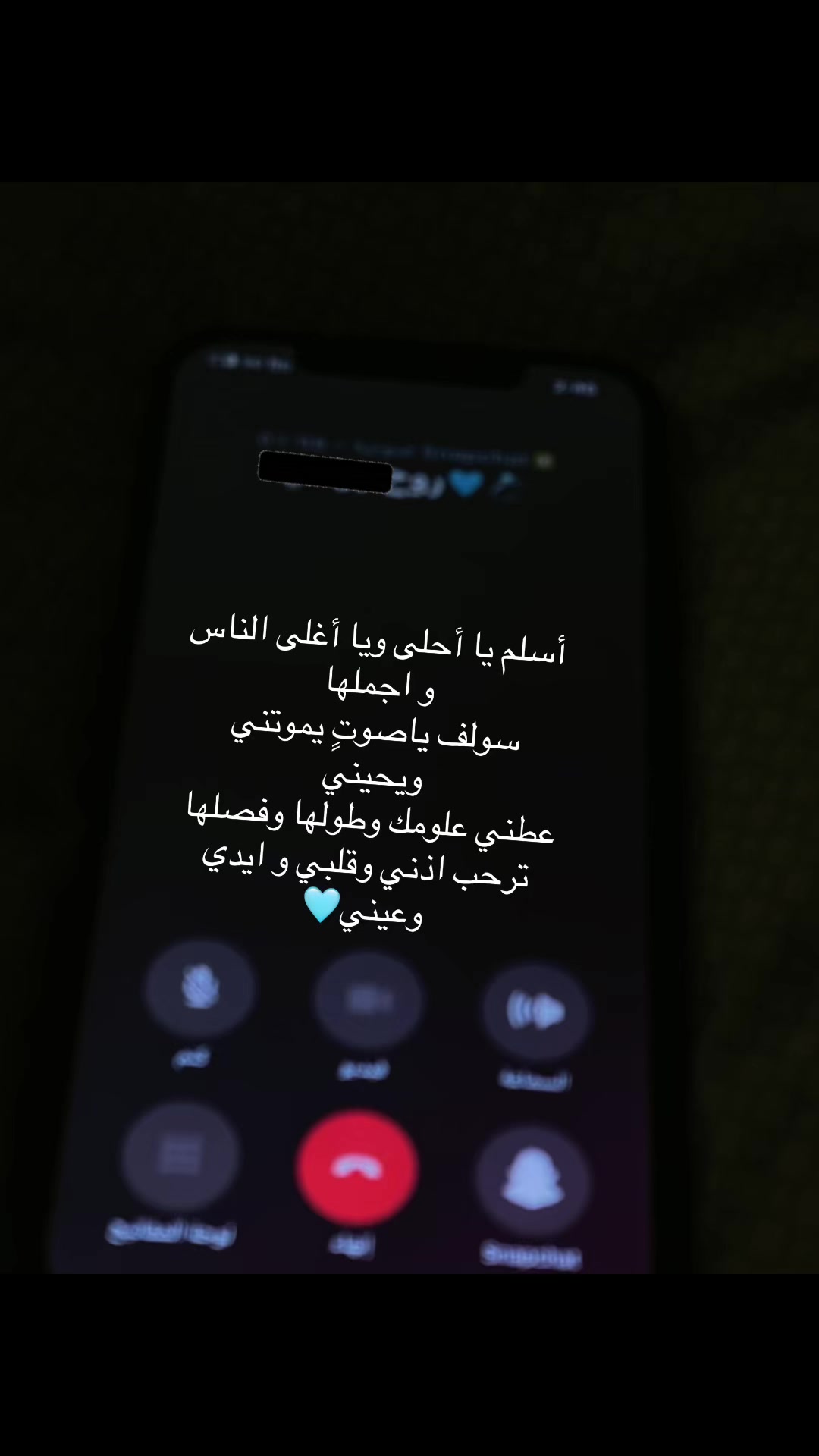 @Mayar🐼