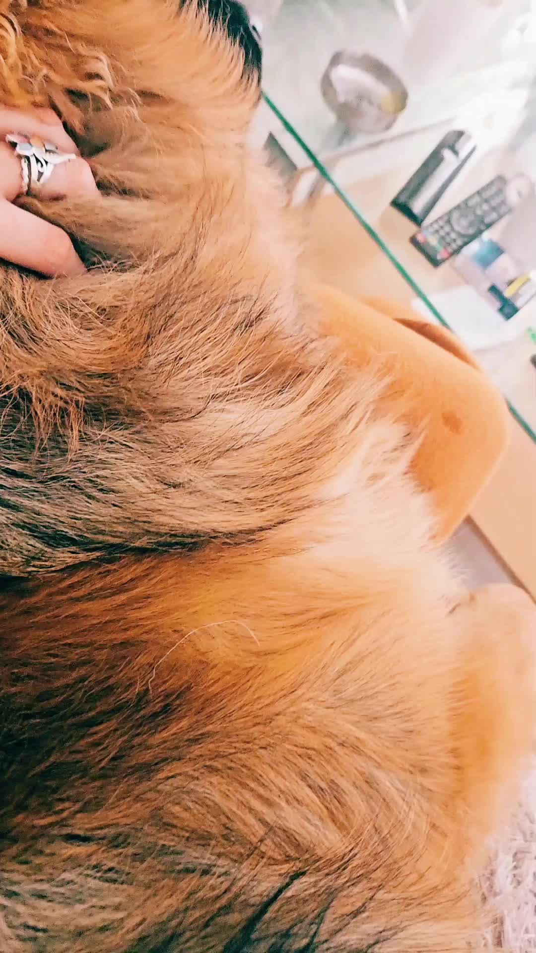 @❤️🔥ČUDO OD ŽENE❤️🔥