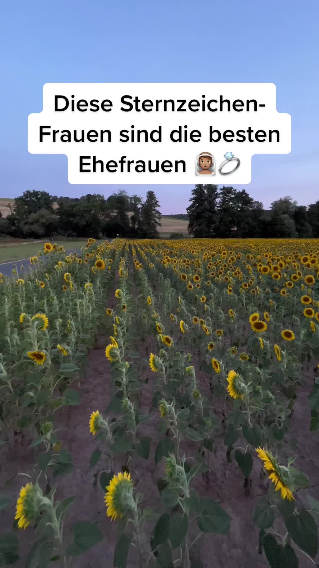 @de_sternzeichen