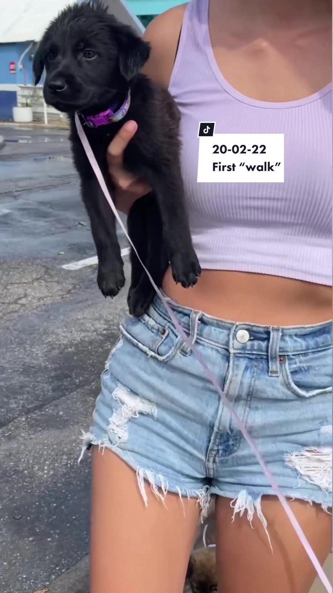 @Rescued stray dog and puppy’s