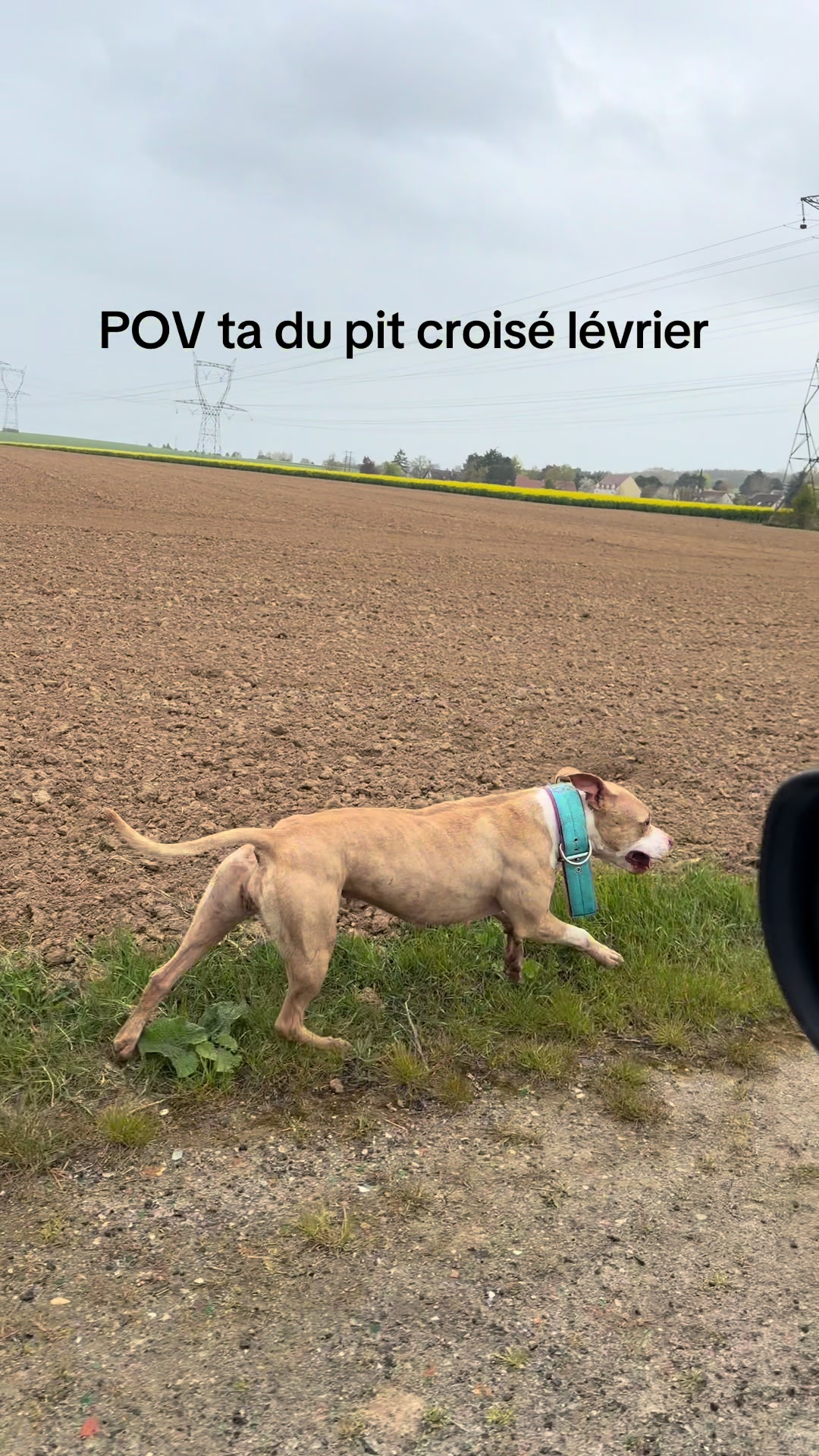 @kiara_isis_apbt