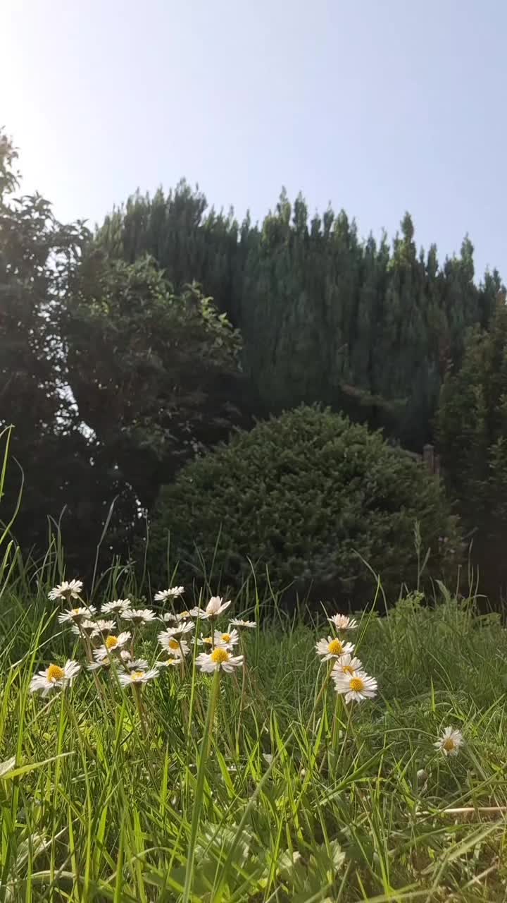 @𑣲С&omicron;&omicron;к&iota;&epsilon;᭡.𓂃