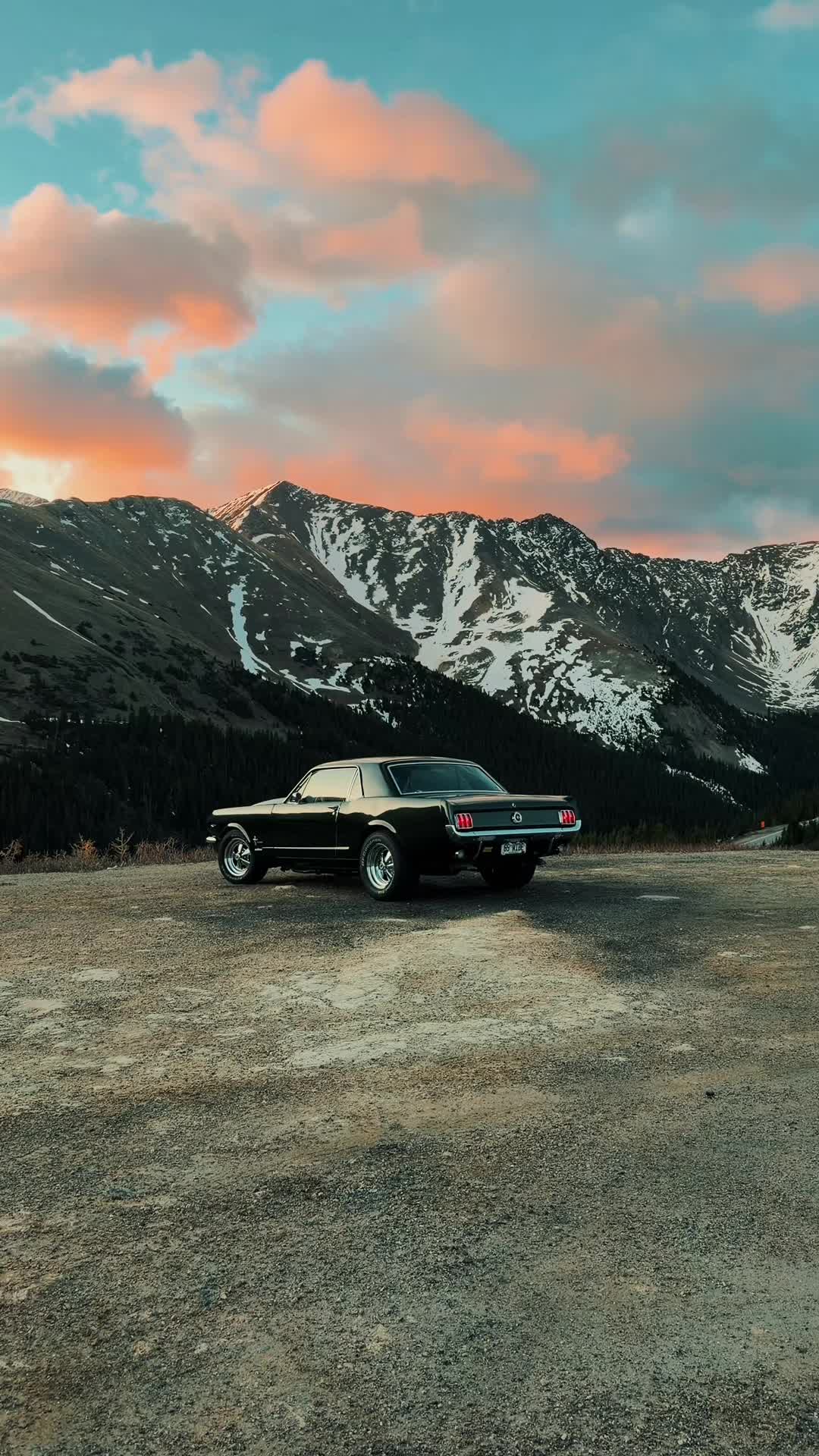 @65 WIDE
