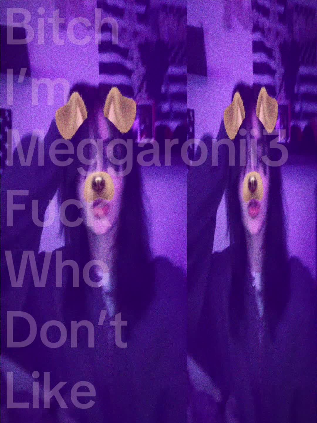 @www.meggaronii3.com