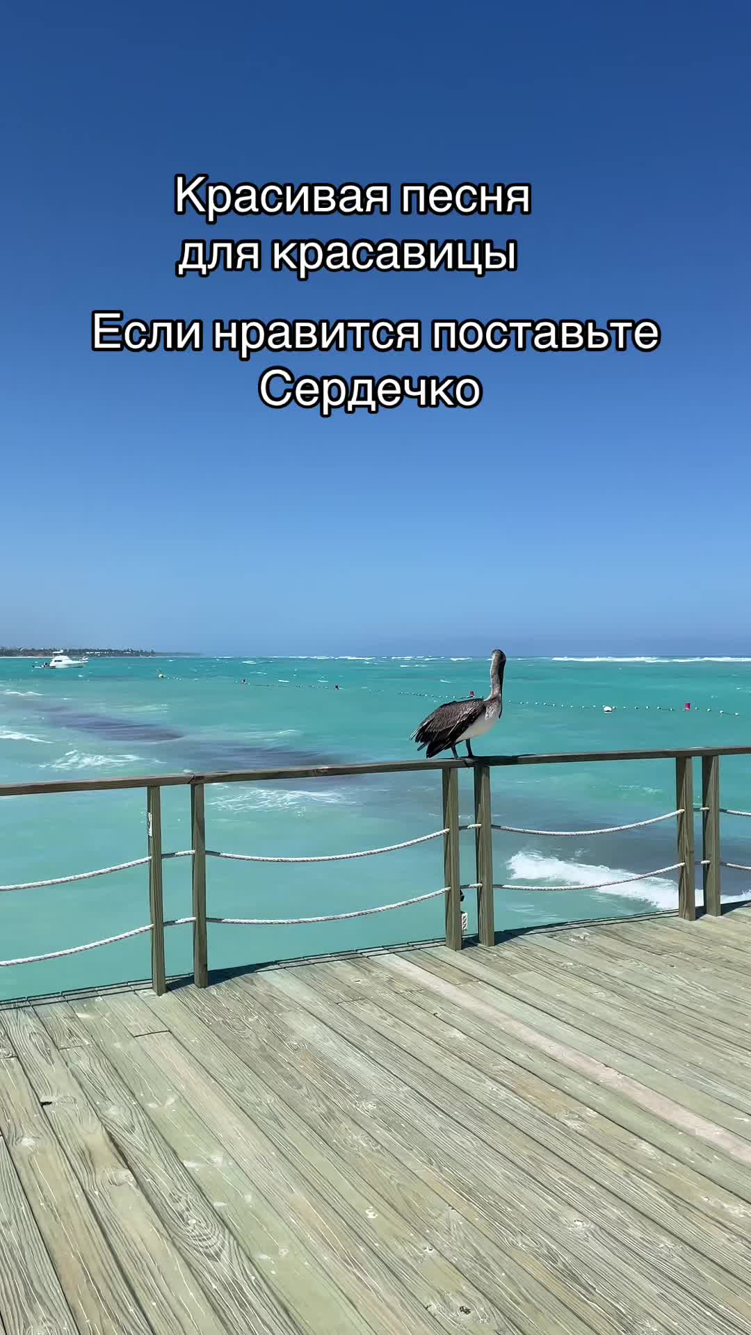 @leonri71