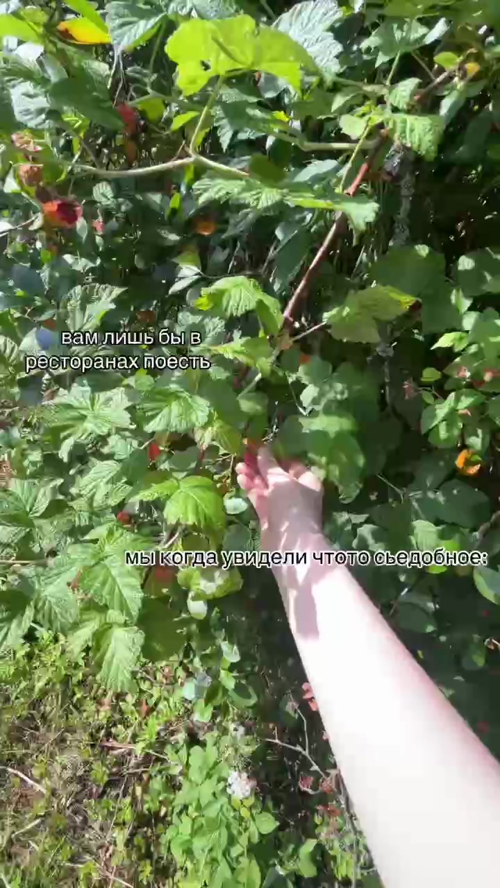 @евка