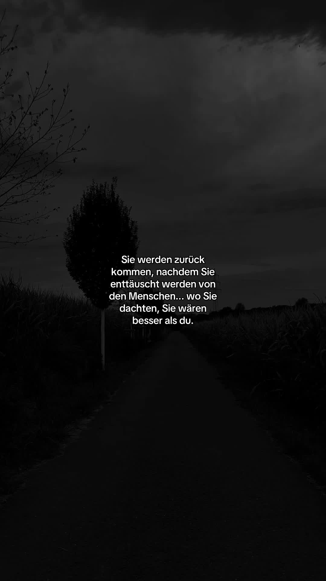 @_xmr.tx_