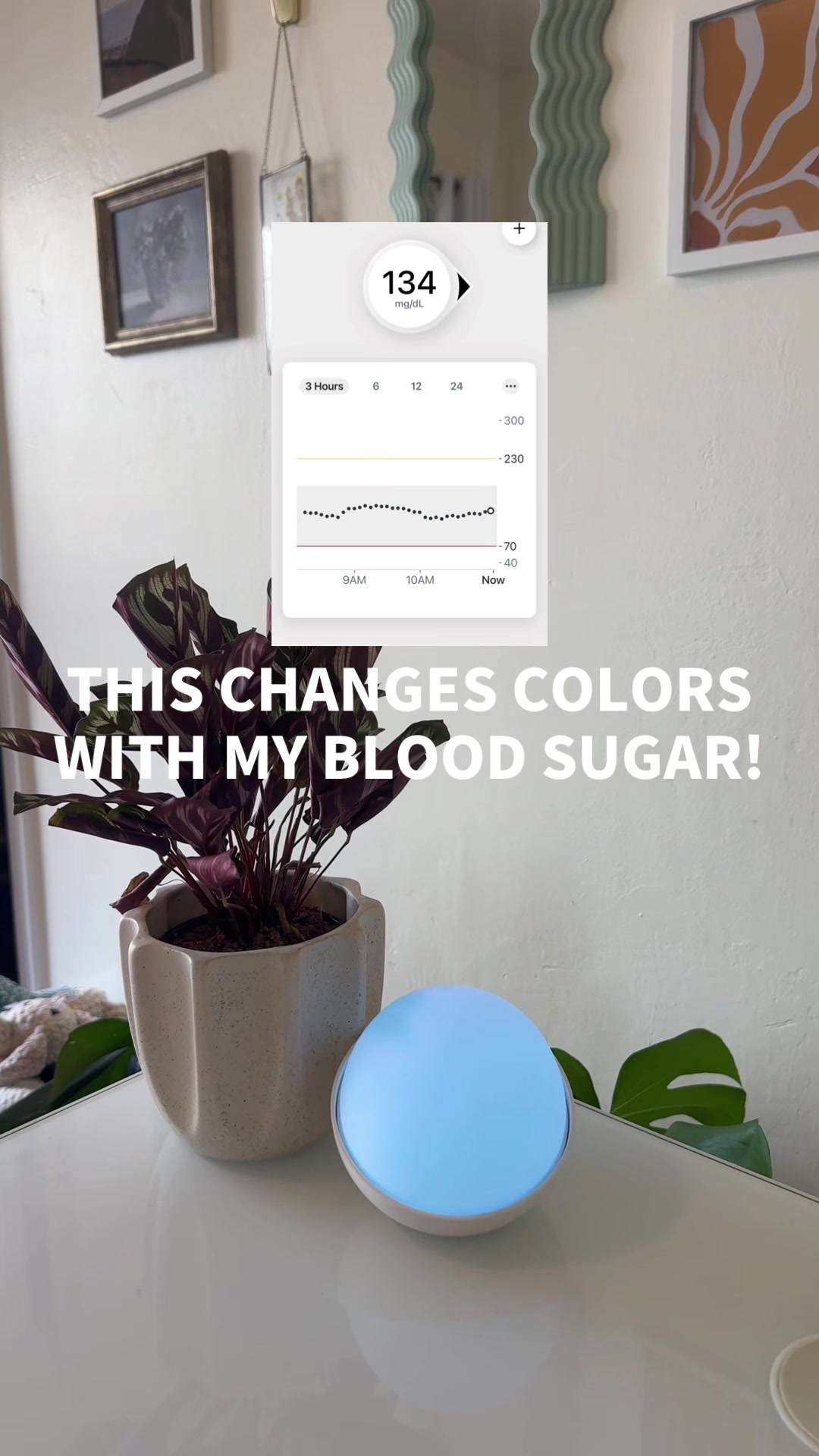 @Raquel Baron | T1D