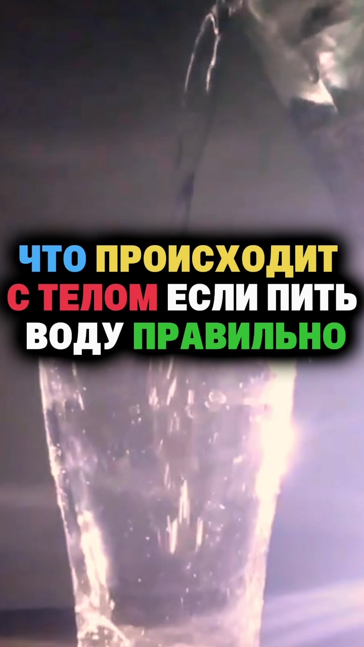@FoodFackt