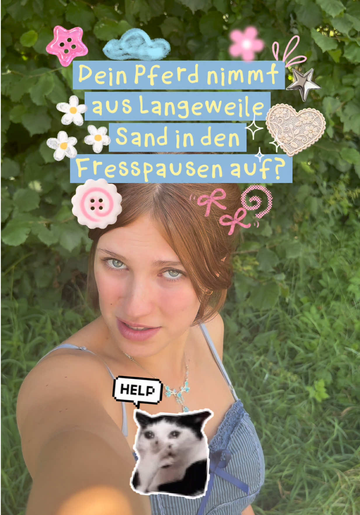 @Pferde Paradies