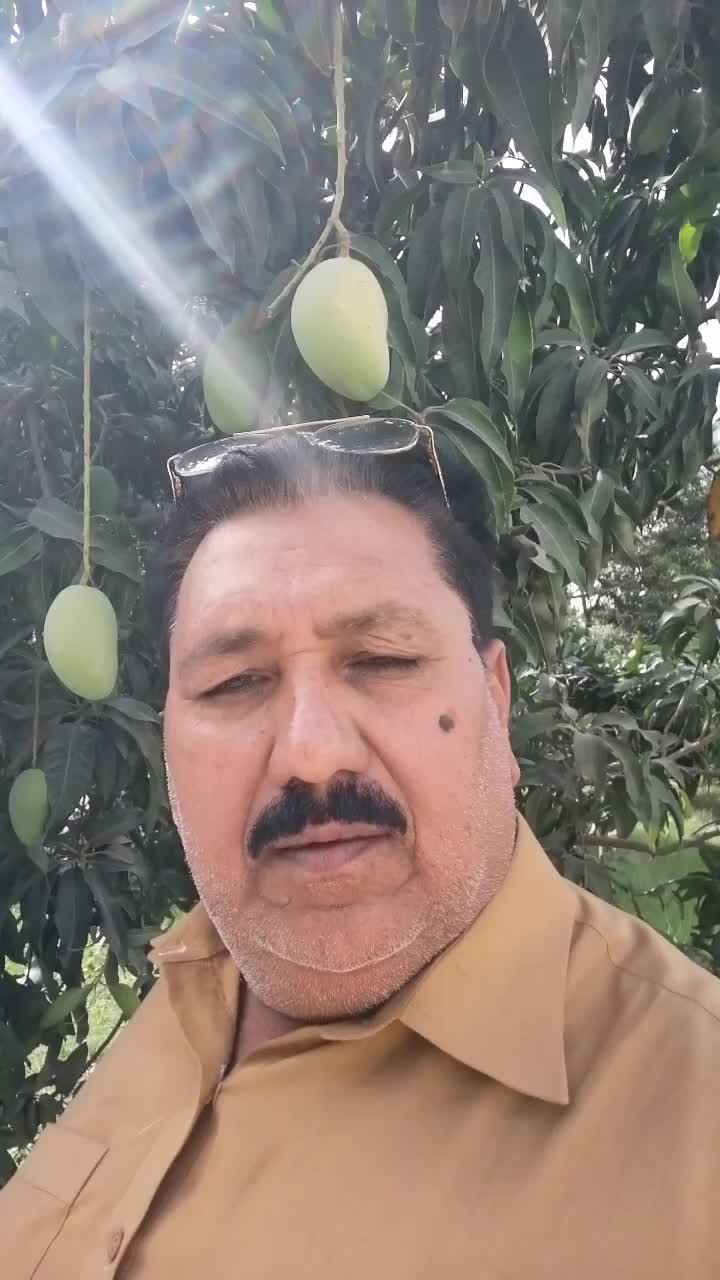 @Malik Rashhed