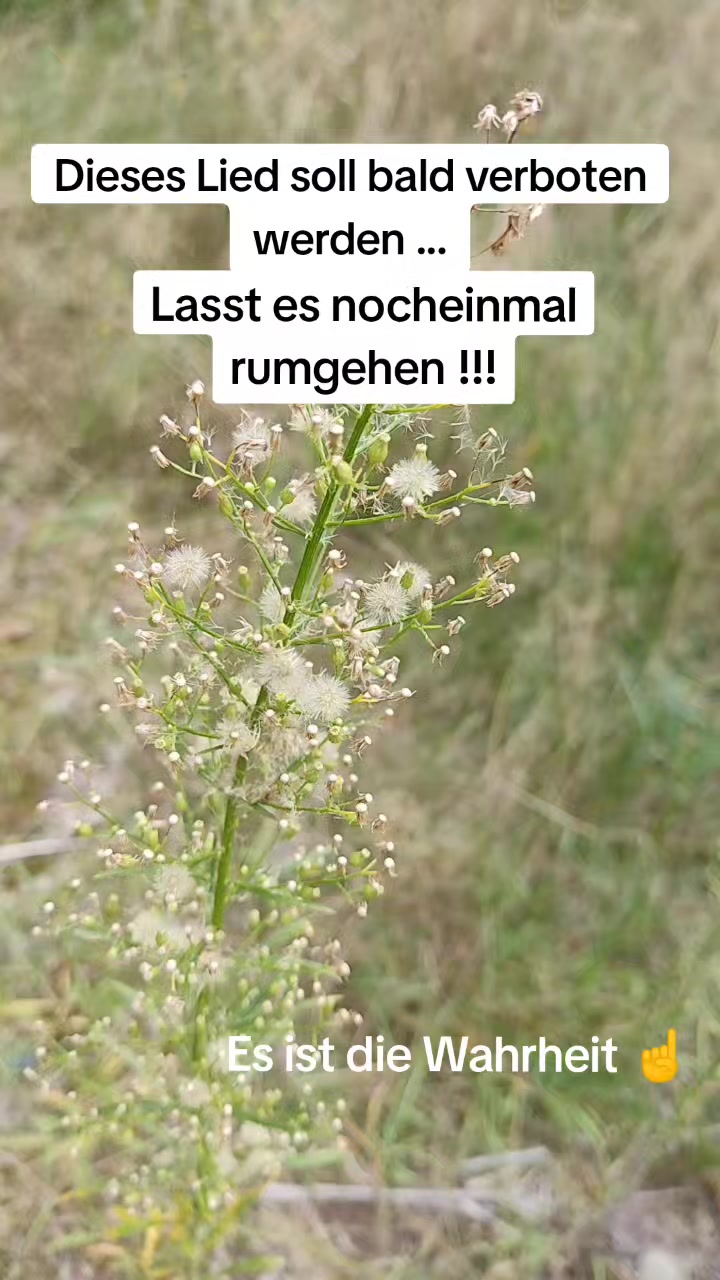 @Mönchen 🤗