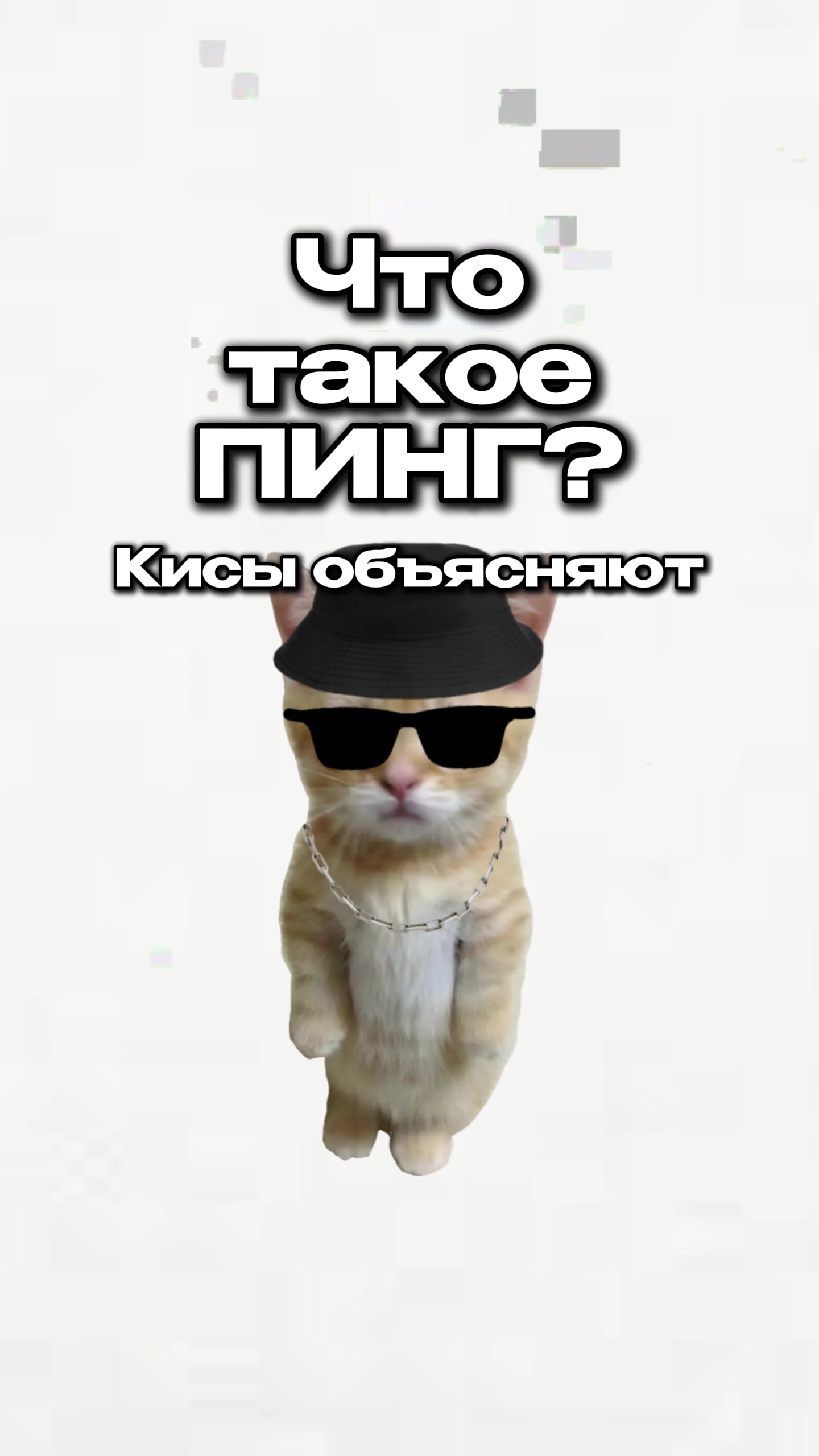 @hazik