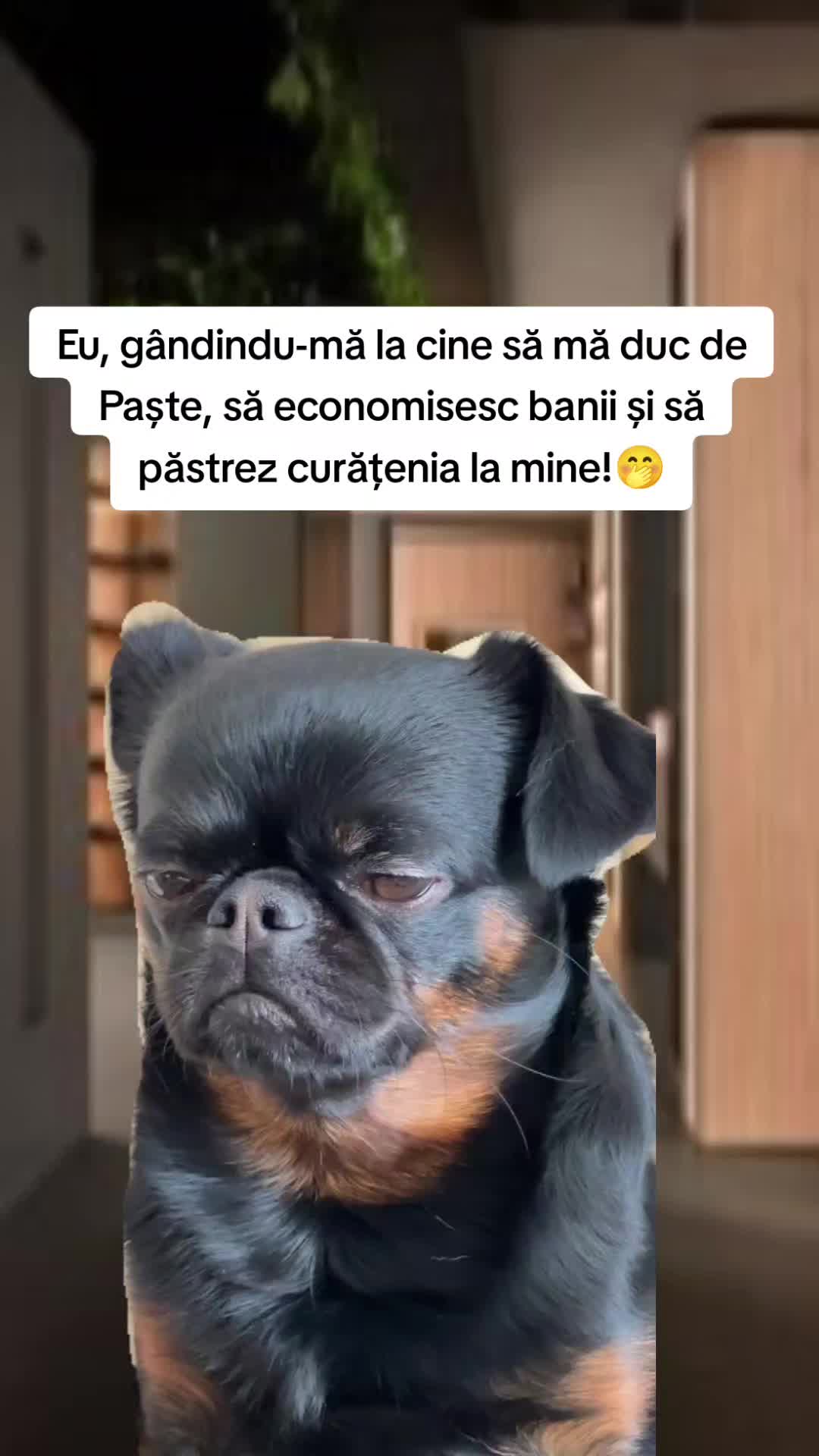 @🇹🇩O_V_I_D_I_U