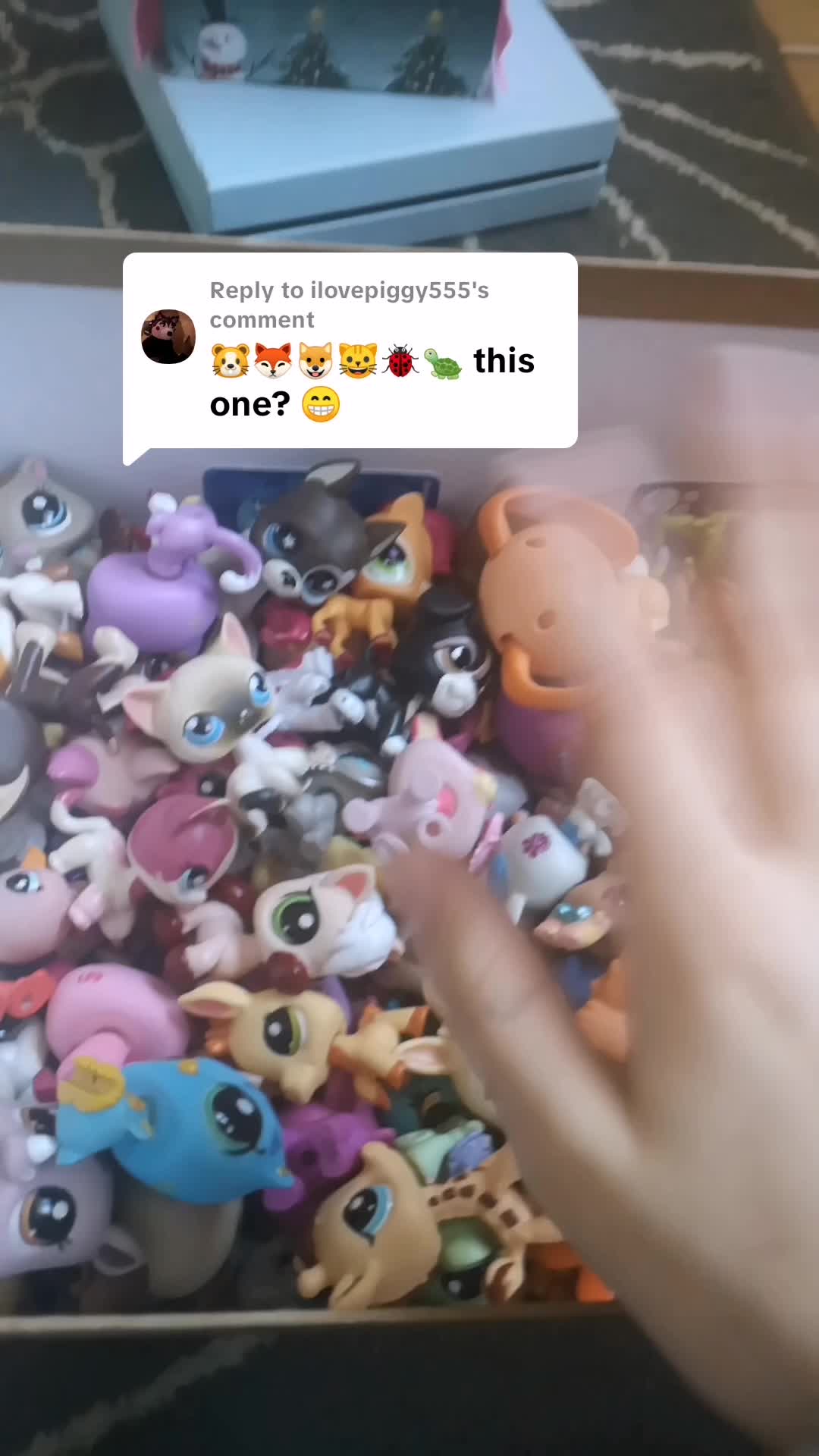 @Lps collecter🌺