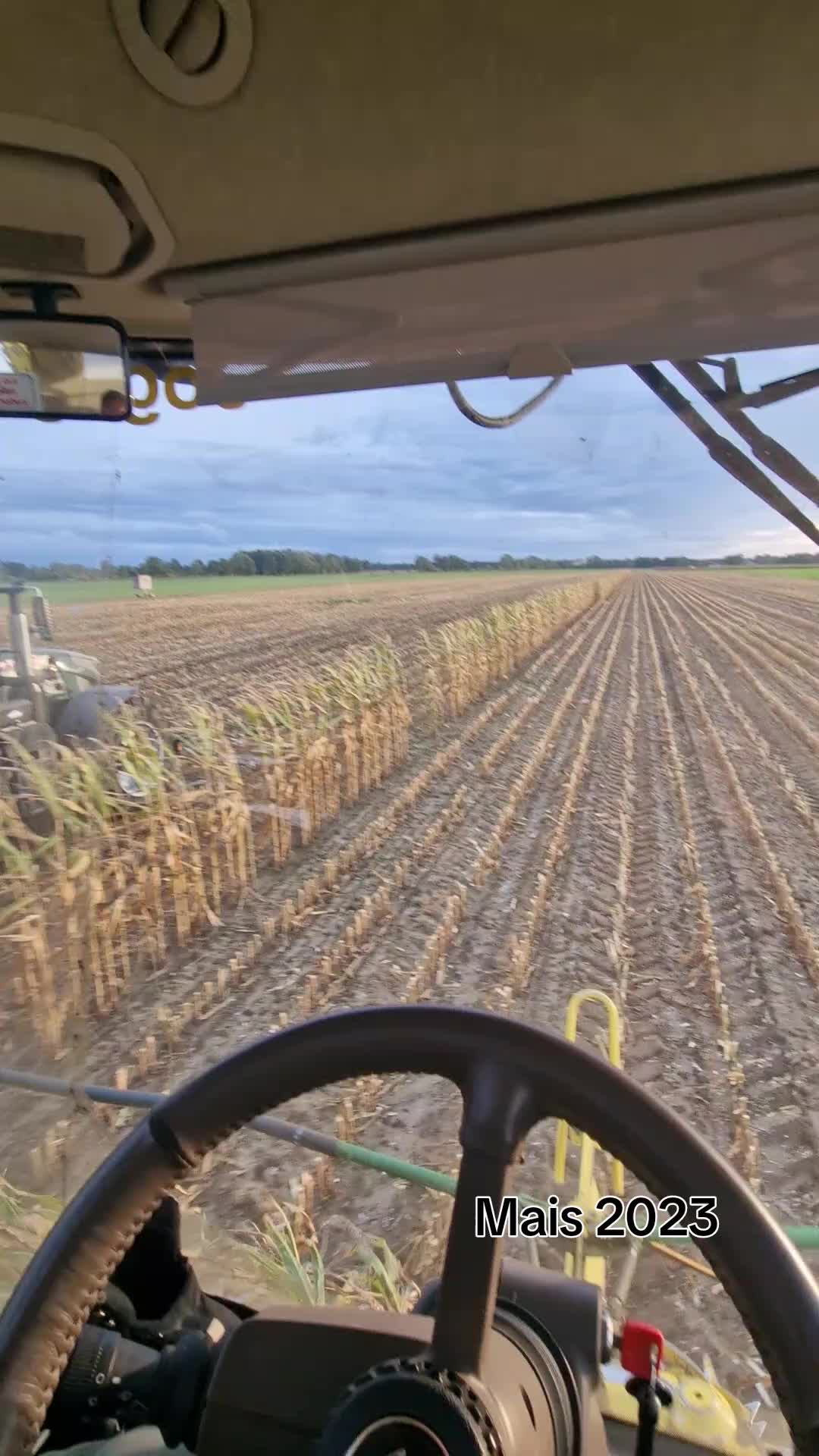 @chjimknopf29