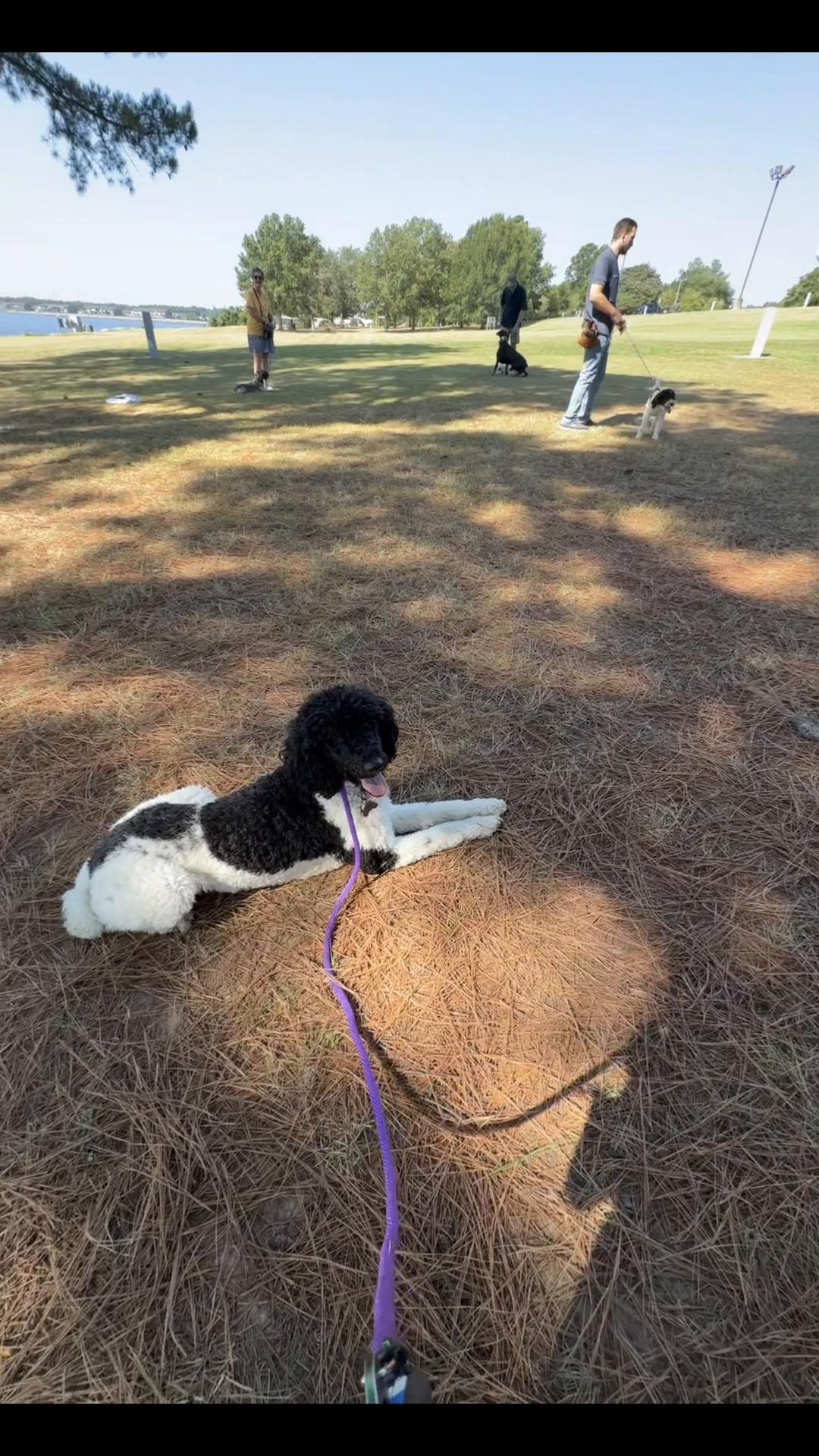 @Megan 🐶 Trainer ❌