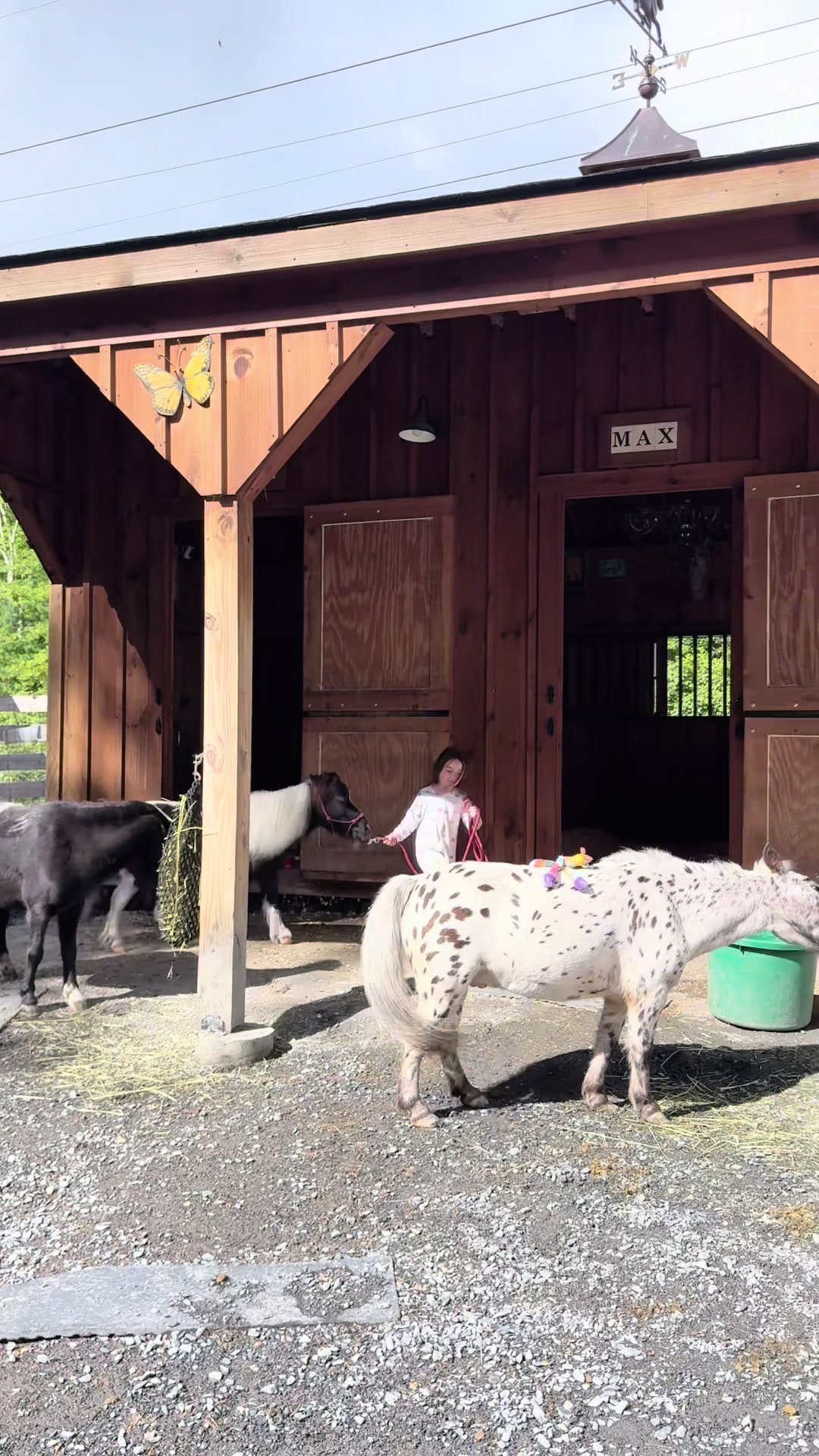 @Maxwell Farms