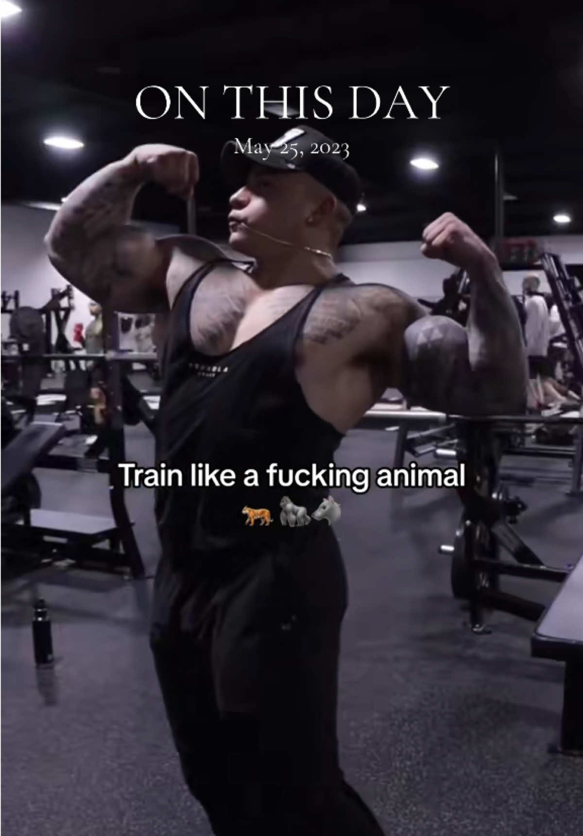 @GORILLA QUINN 🦍🇺🇸
