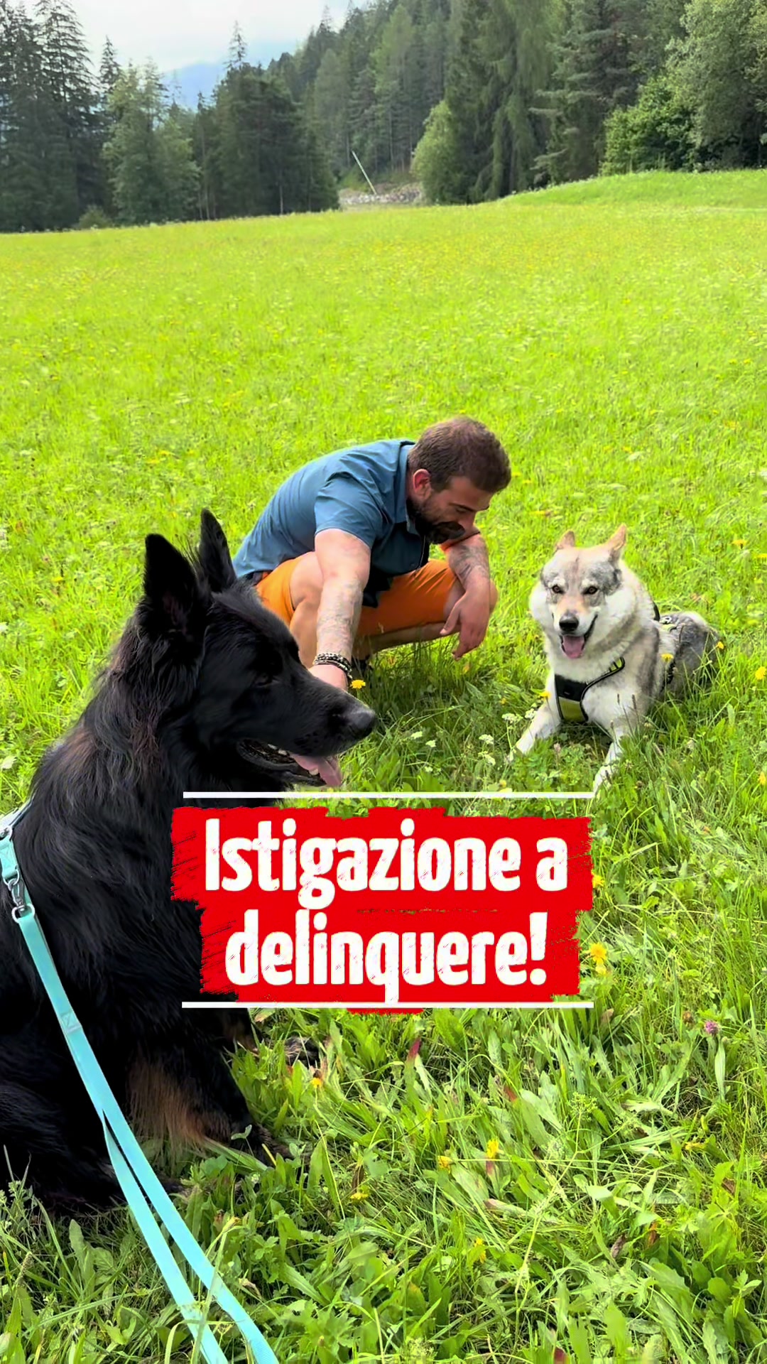 @WalkingWolf